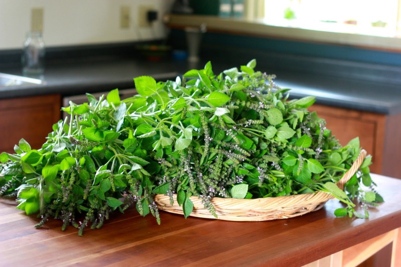 Fresh Herb Sea Salt and a Basil rose ita